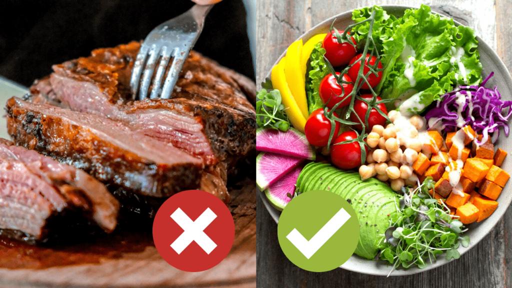 Meat vs Plant-based diet
